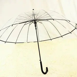 Transparent Long Handle Umbrella