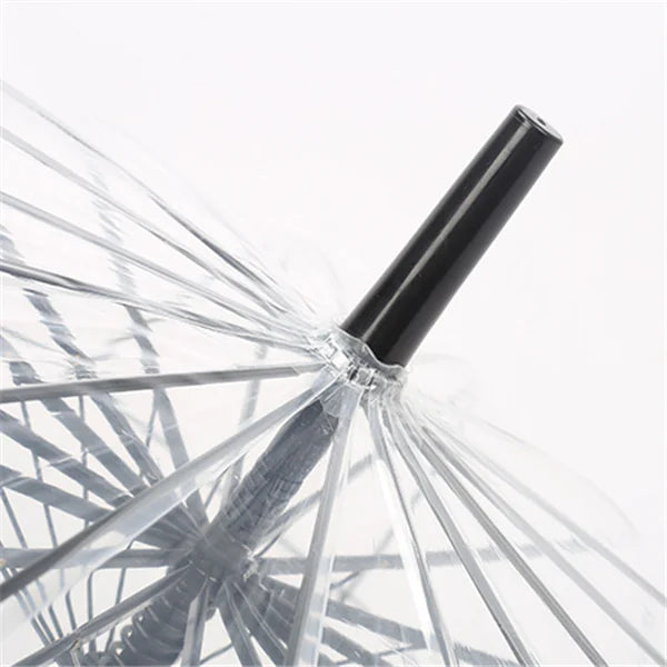 Transparent Long Handle Umbrella