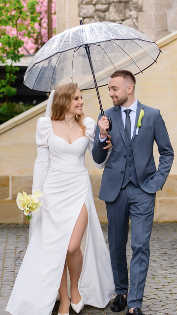 Transparent Long Handle Umbrella